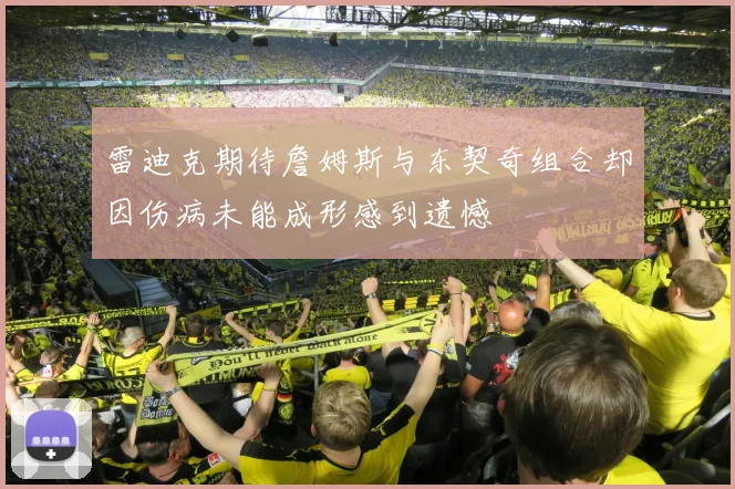 雷迪克期待詹姆斯与东契奇组合却因伤病未能成形感到遗憾
